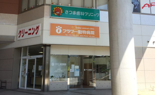 神戸市西区のフラワー動物病院