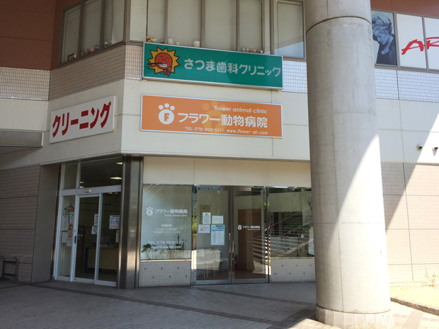 神戸市西区のフラワー動物病院