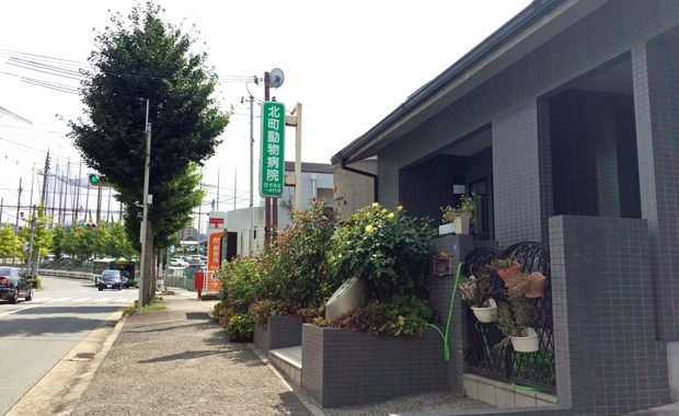 北町動物病院の口コミ評判