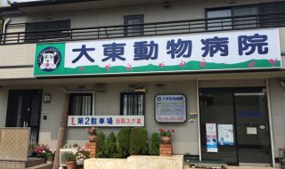 神戸市北区大東動物病院