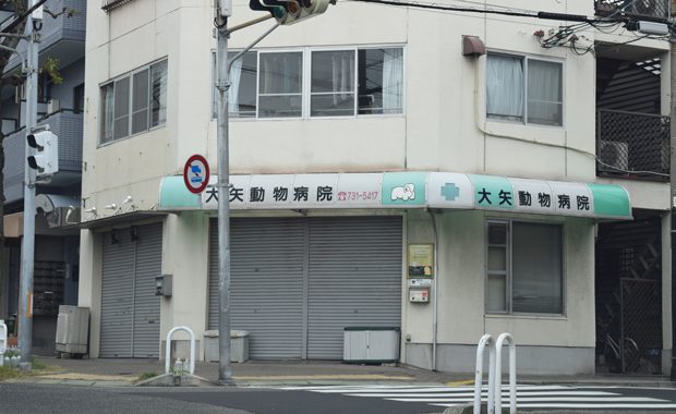 大矢動物病院 須磨区 神戸市 口コミ 評判