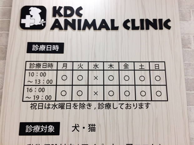 KDC動物病院の診療時間診療日