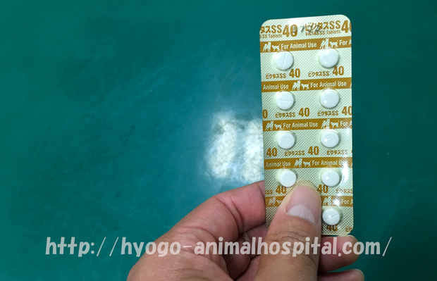 犬 膀胱炎 抗生物質 種類