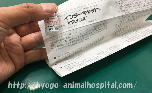 猫伝染性腹膜炎 治療法