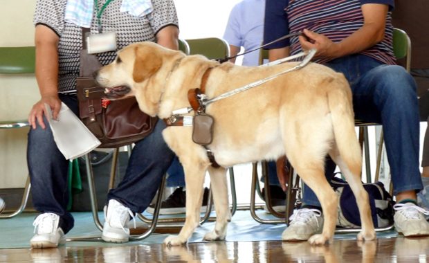 盲導犬訓練士の給料