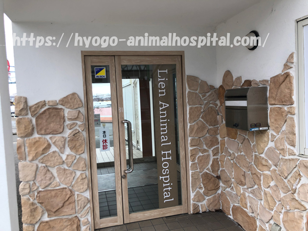 神戸市 リアン動物病院