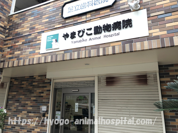 やまびこ動物病院 神戸市西区