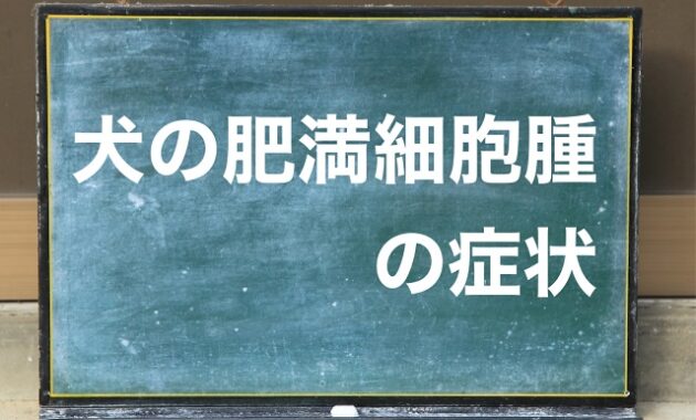 犬 肥満細胞腫 症状