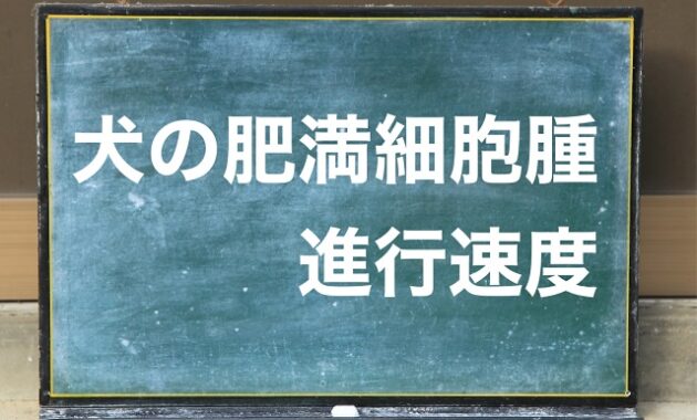 犬 肥満細胞腫 進行速度